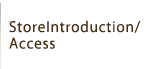 StoreIntroduction/Access